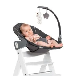Hauck Alpha Bouncer Deluxe Babywippe -Roba || Pinolino || Träumeland Verkäufe 4007923661857.pt03.alpha bouncer deluxe 11740 des grey