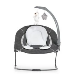 Hauck Alpha Bouncer Deluxe Babywippe -Roba || Pinolino || Träumeland Verkäufe 4007923661857.pt04.alpha bouncer deluxe 11740 des grey