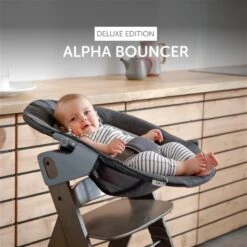 Hauck Alpha Bouncer Deluxe Babywippe -Roba || Pinolino || Träumeland Verkäufe 4007923661857.pt11.alpha bouncer deluxe 11740 des grey