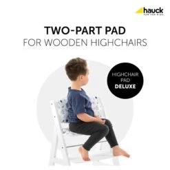 Hauck Highchair Pad Deluxe Sitzkissen Space -Roba || Pinolino || Träumeland Verkäufe 4007923667699.pt01.highchair pad deluxe space