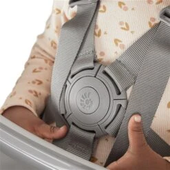 Ergobaby Evolve 3-in-1 Babysitz & Tablett Natural Wood -Roba || Pinolino || Träumeland Verkäufe evolve high chair natural wood 24